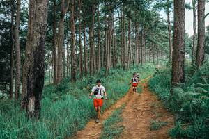 BIB: 
                            <button type="button" onclick="openModal(25741137)" class="btn btn-primary btn-sm float-right btn-popup" data-toggle="modal" data-target=".modal-high-quality">
                        <i class="fas fa-shopping-cart"></i> Add to Cart
                    </button>
                                            <button type="button" onclick="isThisMe(25741137, true)" class="btn btn-success btn-sm float-right btn-popup btn-isme hidden" data-toggle="tooltip" data-placement="bottom" title="นี่คือรูปของคุณใช่ไหม คลิกที่นี่เพื่อเอาเข้าอัลบั้ม">
                        <i class="fas fa-plus"></i> Add to album
                    </button>
                    <button type="button" onclick="isThisMe(25741137, false)" class="btn btn-warning btn-sm float-right btn-popup btn-isnotme hidden">
                        <i class="fas fa-ban"></i> Remove from album
                    </button>